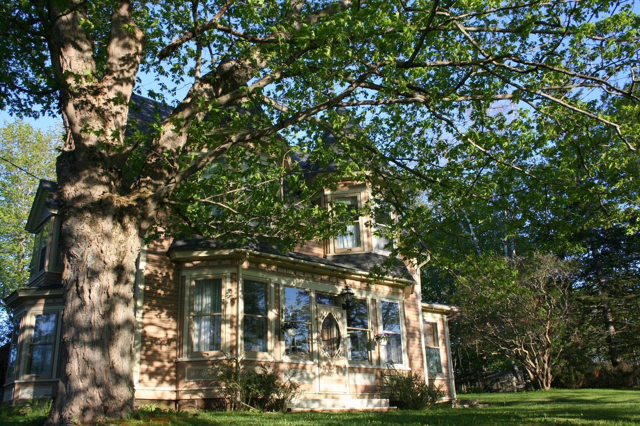 Sackville Bed And Breakfast Экстерьер фото